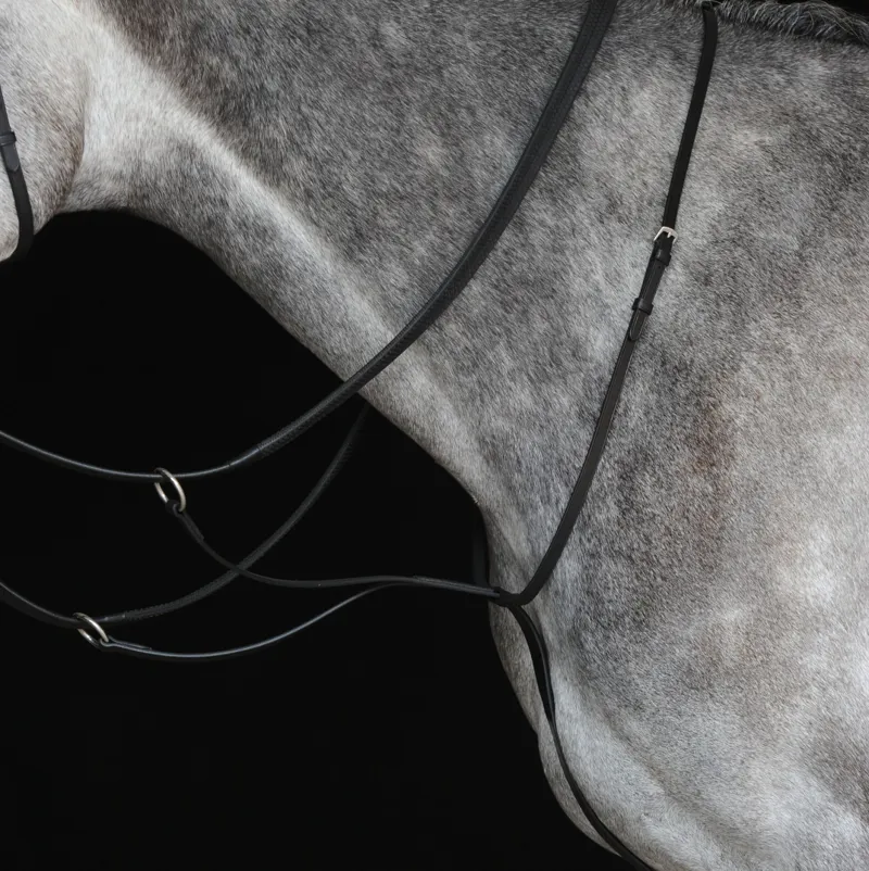 Collegiate Running Martingale Black